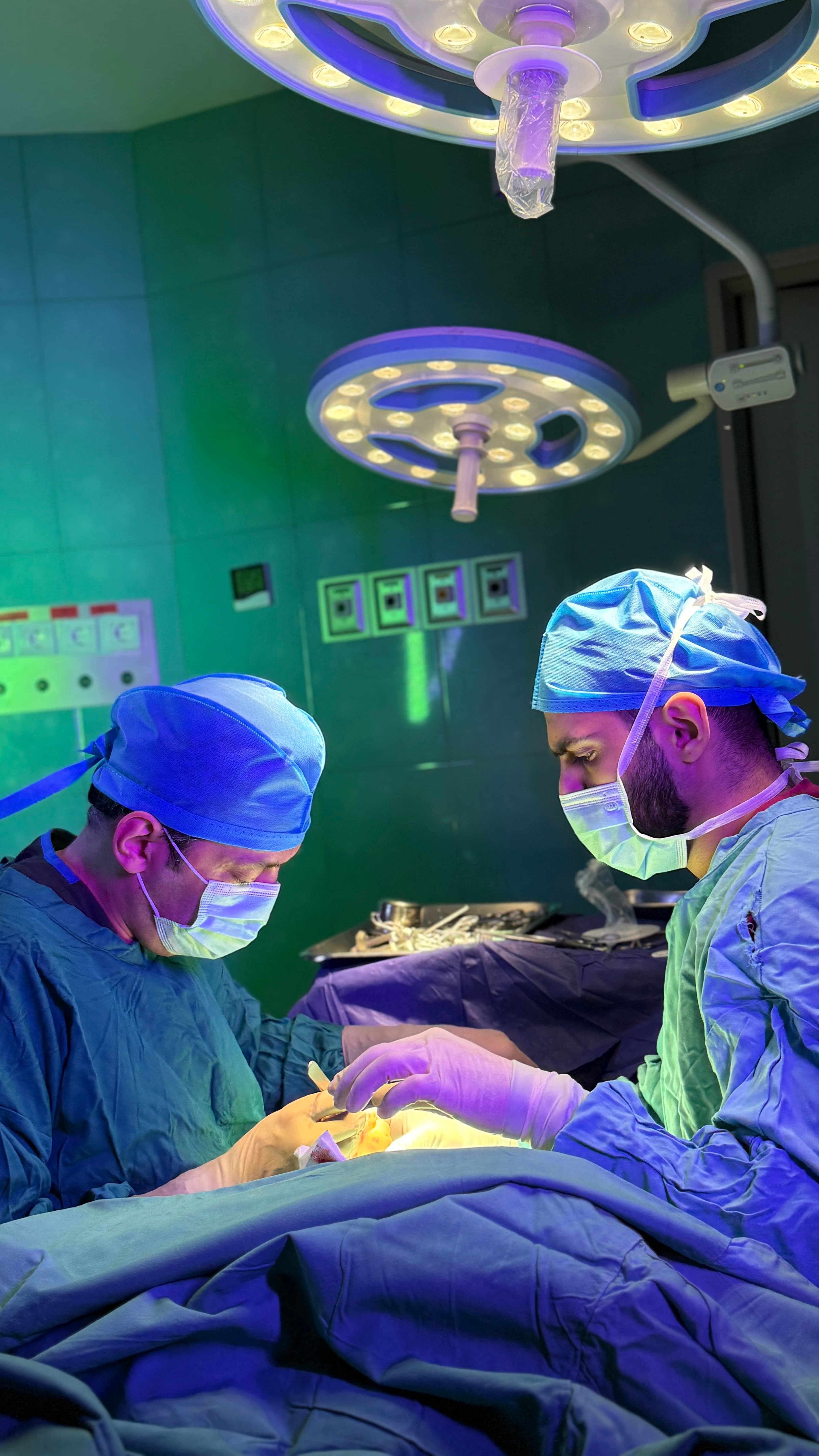 گالری - IMG_1300.JPG